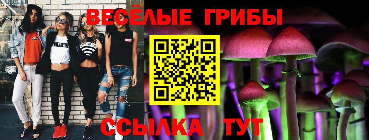 Галлюциногенные грибы ЛСД  наркошоп  Ессентуки  Вход с VPN 