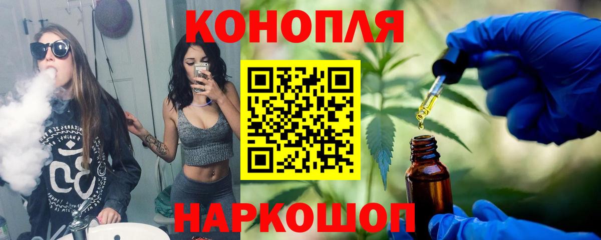 Канабис семена Ессентуки